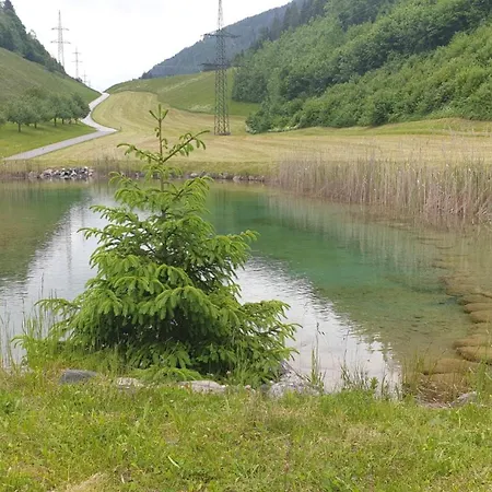 Appartementhaus Goldnugget Schwarzach im Pongau